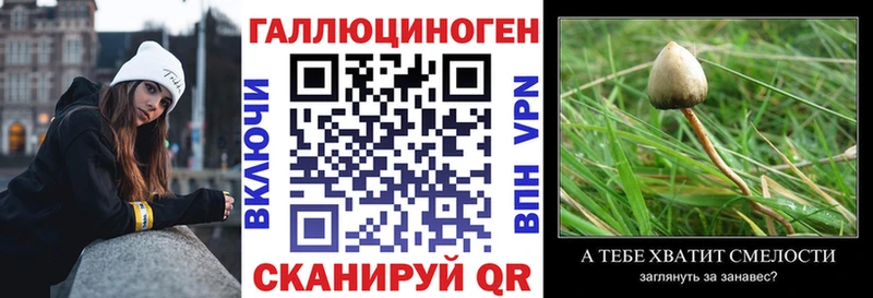 Галлюциногенные грибы мицелий купить сайты Осинники