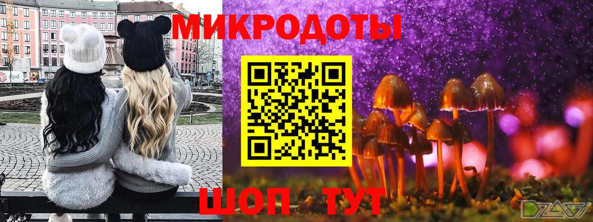 Псилоцибиновые грибы Psilocybine cubensis Осинники