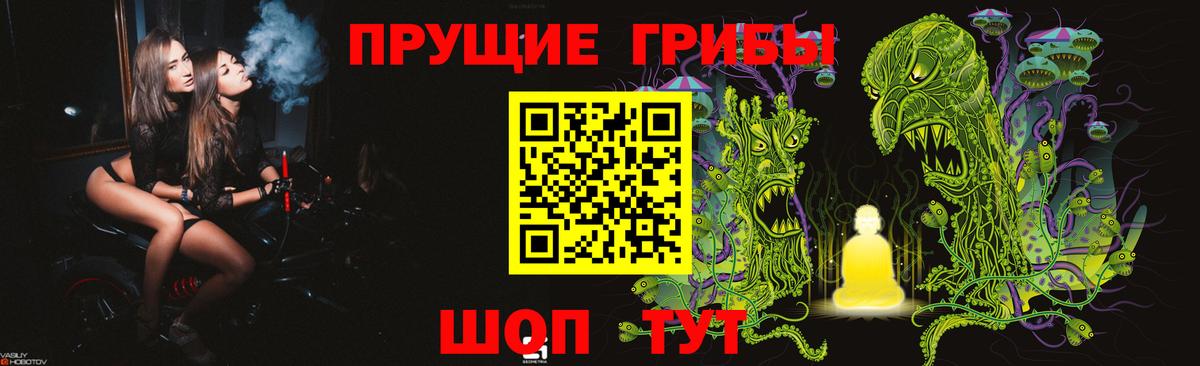 Осинники  Псилоцибиновые грибы мухоморы  Вход с VPN  Псилоцибиновые грибы MAGIC MUSHROOMS 