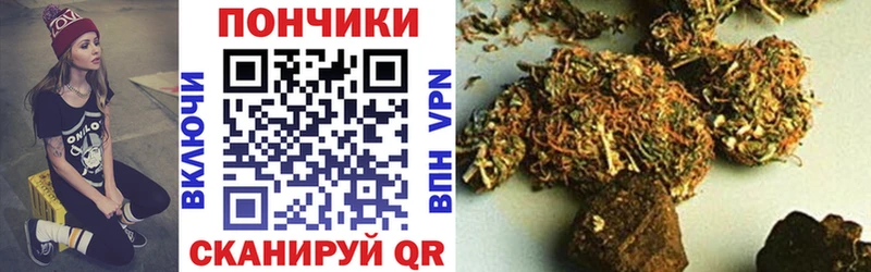 Бошки марихуана Amnesia  Осинники 
